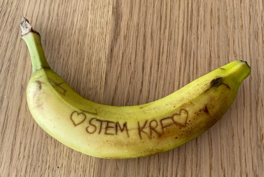 Aktivistisk banan hvor "stem KrF" er inngravert