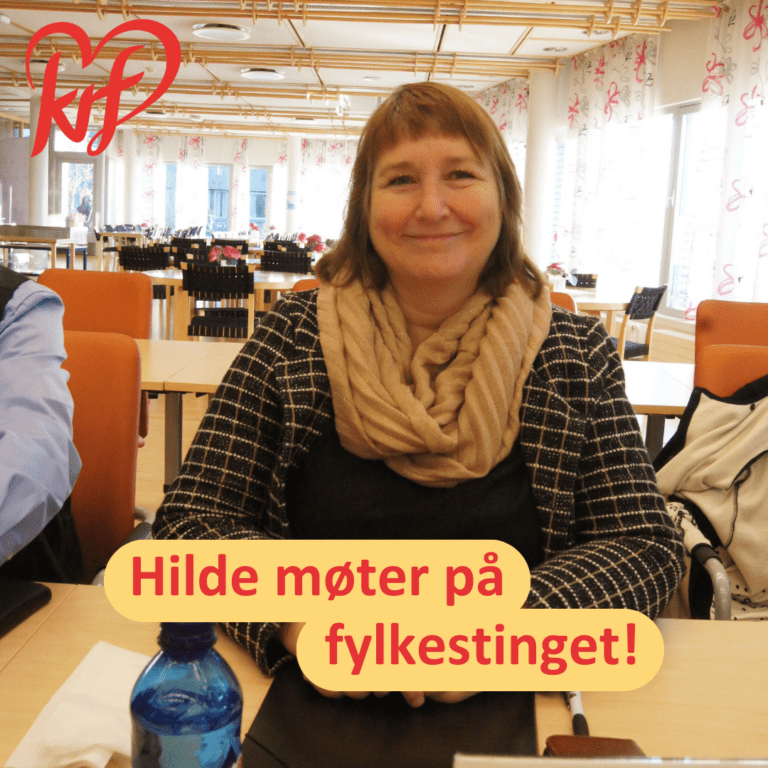 Hilde møter på fylkestinget!